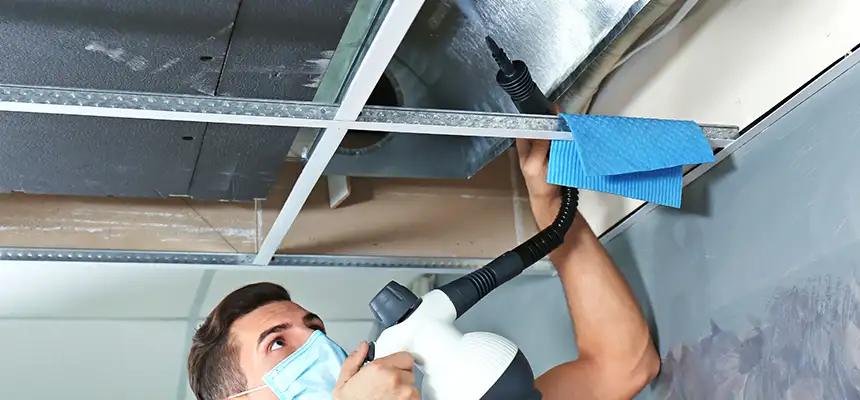 Our Air Duct Rodent Removal Services in Marietta, GA