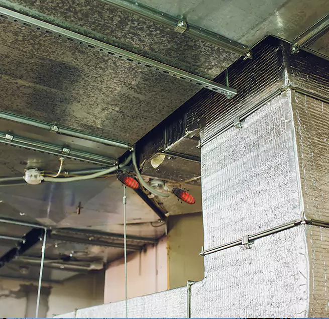 Why Homeowners & Businesses Trust Us in Marietta, GA?