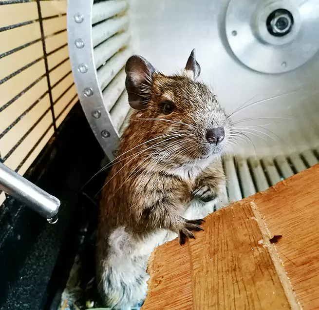 Why Homeowners & Businesses Trust Us Marietta, GA