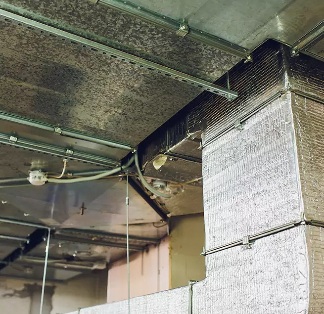 Why Homeowners & Businesses Trust Us in Marietta, GA?